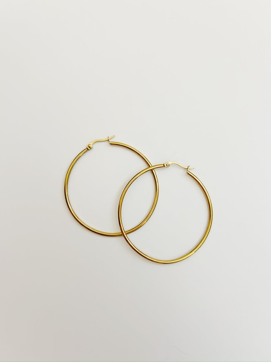 Niko Hoops